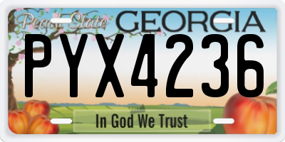 GA license plate PYX4236