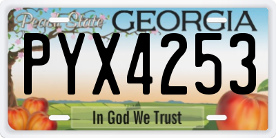 GA license plate PYX4253
