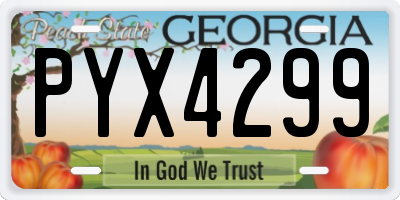 GA license plate PYX4299