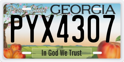 GA license plate PYX4307