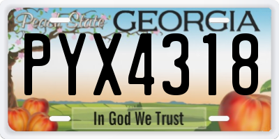 GA license plate PYX4318