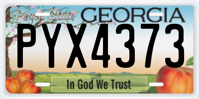 GA license plate PYX4373