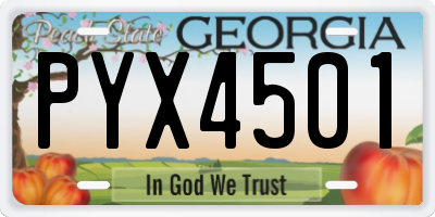 GA license plate PYX4501