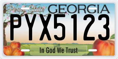 GA license plate PYX5123