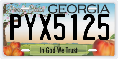 GA license plate PYX5125