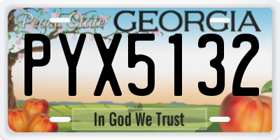 GA license plate PYX5132