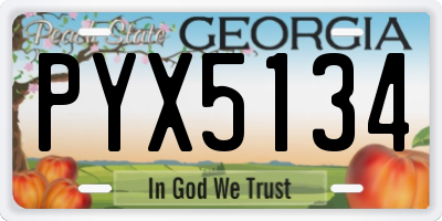 GA license plate PYX5134