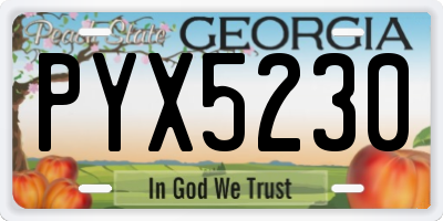 GA license plate PYX5230