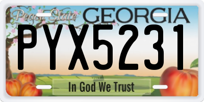 GA license plate PYX5231