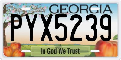 GA license plate PYX5239