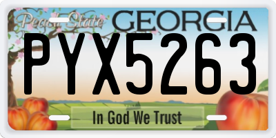 GA license plate PYX5263