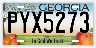 GA license plate PYX5273