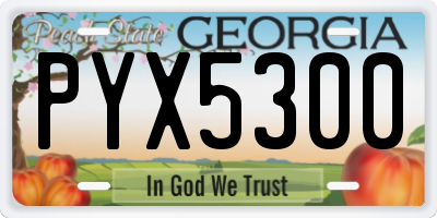 GA license plate PYX5300