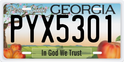 GA license plate PYX5301