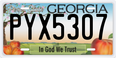 GA license plate PYX5307