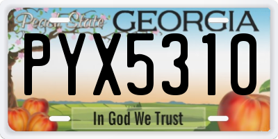 GA license plate PYX5310