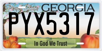 GA license plate PYX5317