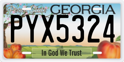 GA license plate PYX5324