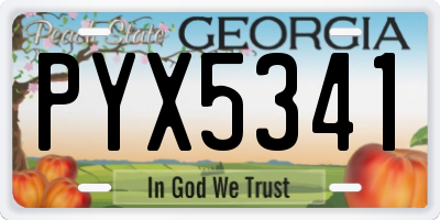 GA license plate PYX5341