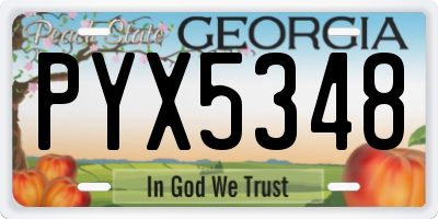 GA license plate PYX5348