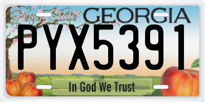 GA license plate PYX5391
