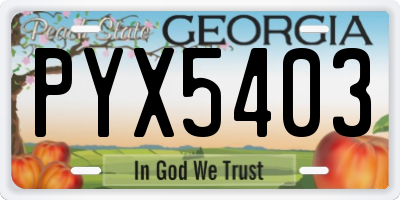 GA license plate PYX5403