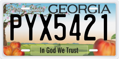 GA license plate PYX5421