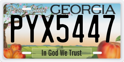GA license plate PYX5447