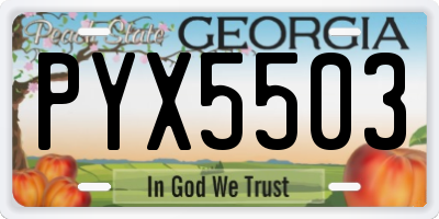 GA license plate PYX5503
