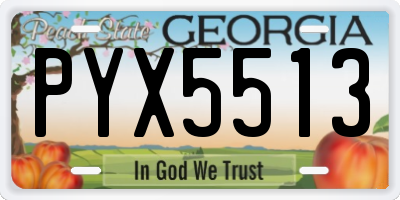 GA license plate PYX5513
