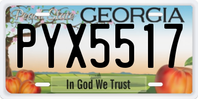 GA license plate PYX5517