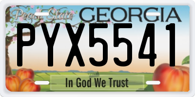 GA license plate PYX5541