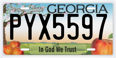 GA license plate PYX5597