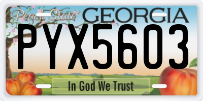 GA license plate PYX5603