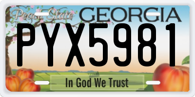 GA license plate PYX5981