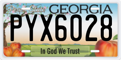GA license plate PYX6028