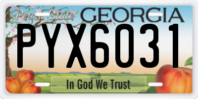 GA license plate PYX6031