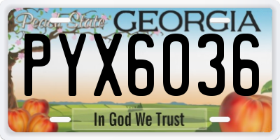 GA license plate PYX6036