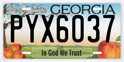 GA license plate PYX6037