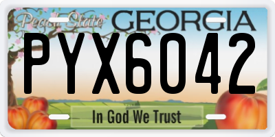 GA license plate PYX6042