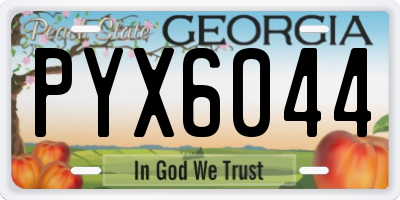 GA license plate PYX6044