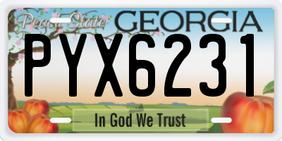 GA license plate PYX6231