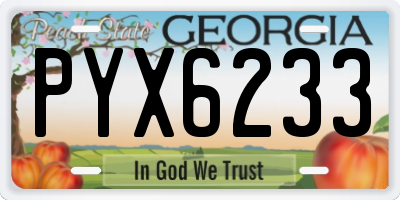 GA license plate PYX6233