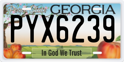 GA license plate PYX6239