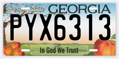 GA license plate PYX6313