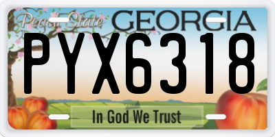 GA license plate PYX6318