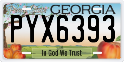 GA license plate PYX6393