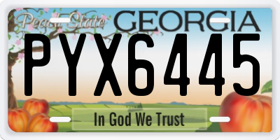 GA license plate PYX6445