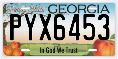 GA license plate PYX6453