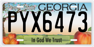 GA license plate PYX6473